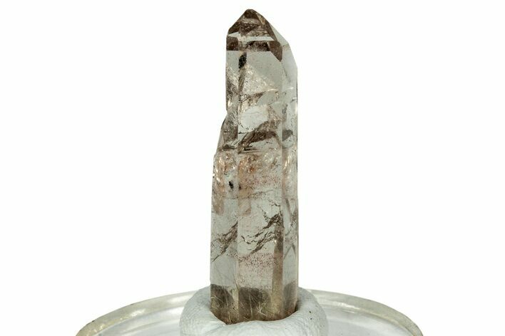 Glassy Rutilated Quartz Crystal - Brazil #244762